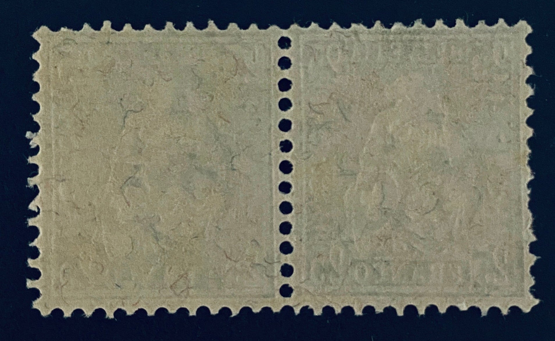 Switzerland PAIR Seated Helvetia 25 Rappen Stamp Scotts Cat #55a Mint